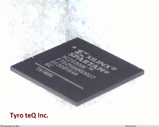 XC2S300E-6FTG256C