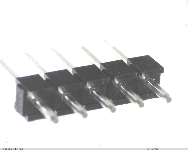XG8V-0541