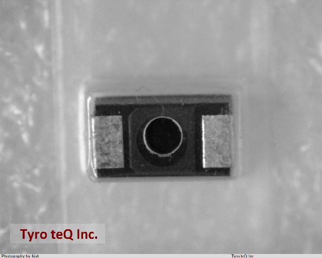 TESVC1C106M12R