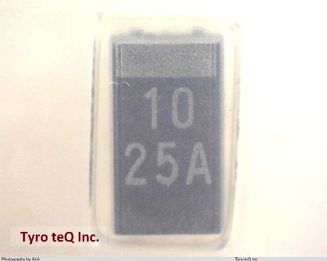 TEESVC1E106M12R