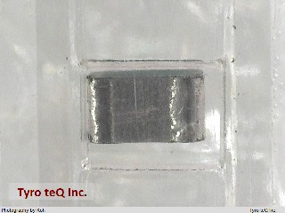 ECHU1H391GX5