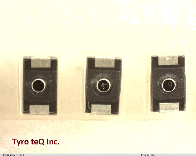 TEESVD1E336M12R