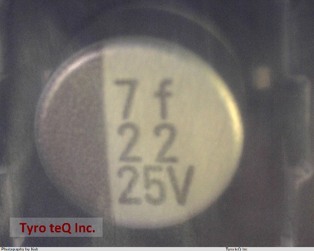 RVO-25V220MF55P2U-R2