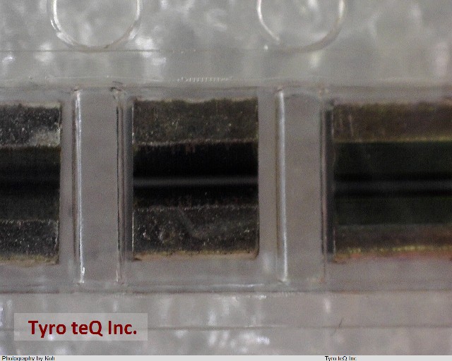 ECP-U1C105MA5