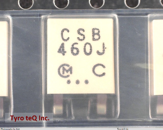 CSBFB460KJ58R1