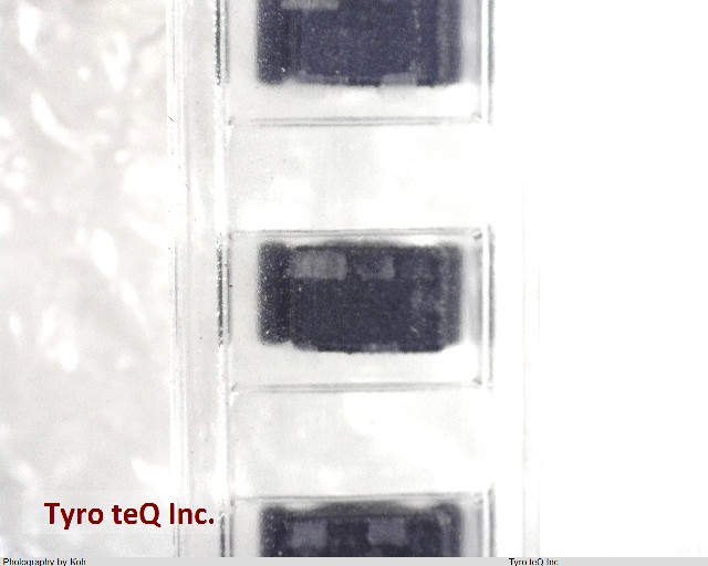 LQH31MN101K03L