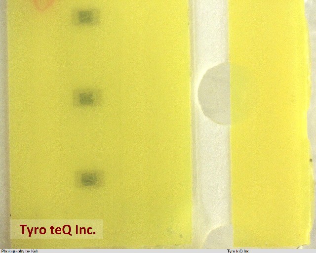 MCR006YRTF3300