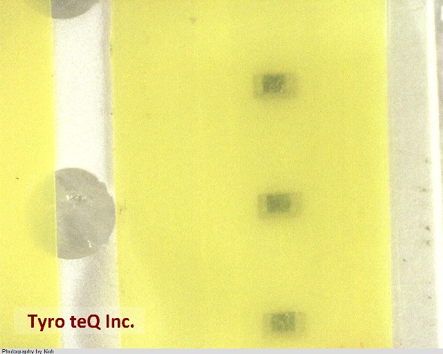 MCR006YRTF3301