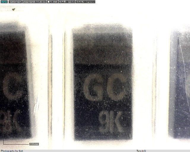 U1GC44(TE12L)