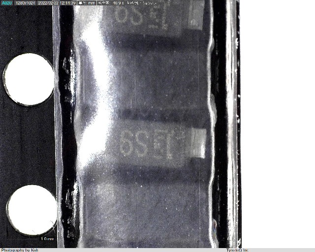 CRS09(T5L,TEMQ)