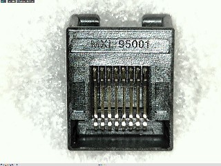955012881