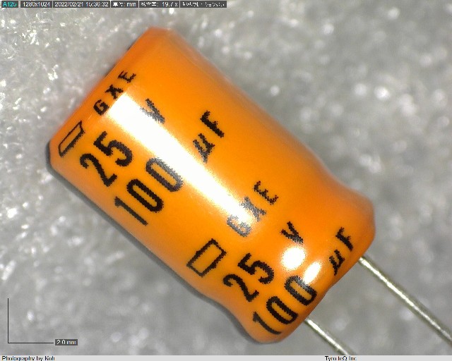 EGXE250ELL101MH12D
