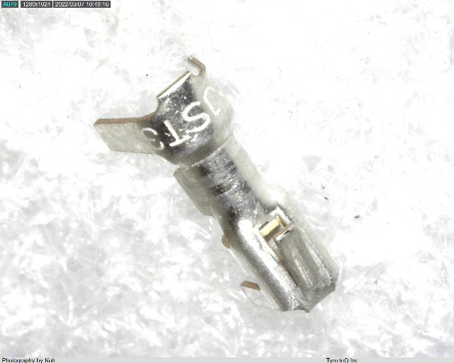BXH-001T-P0.6