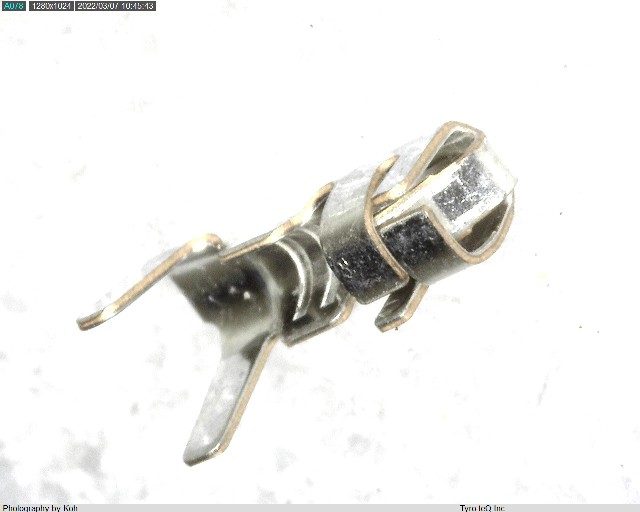 BXH-001T-P0.6