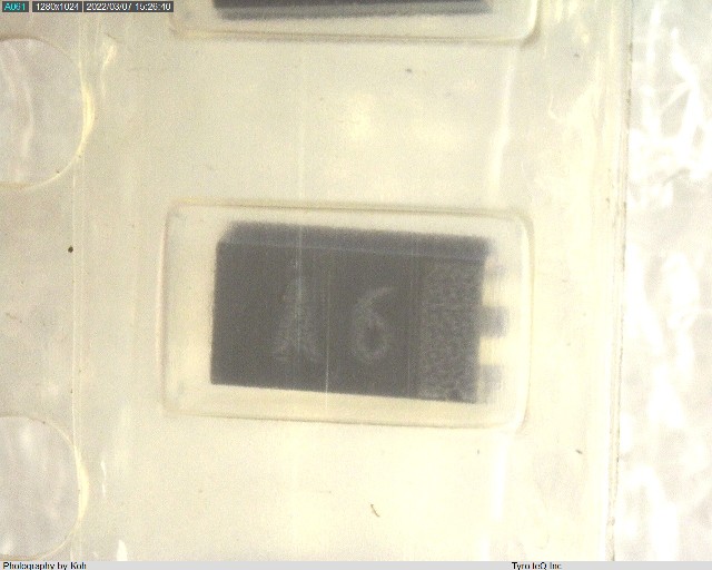 TMCSA1C105MTR