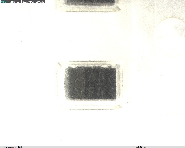TCFGP1A105M8R