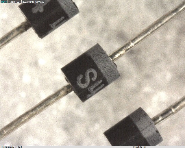 D1NS4-5060