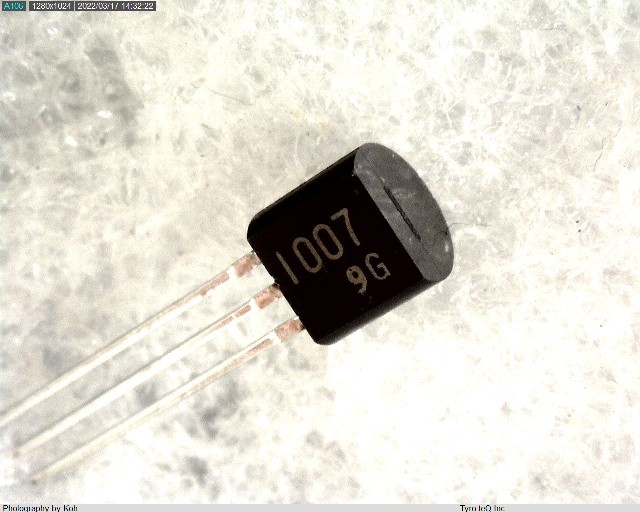 RN1007(F)