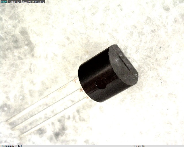 RN1007(F)