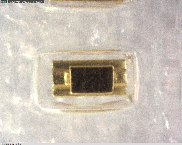 HK-2-G