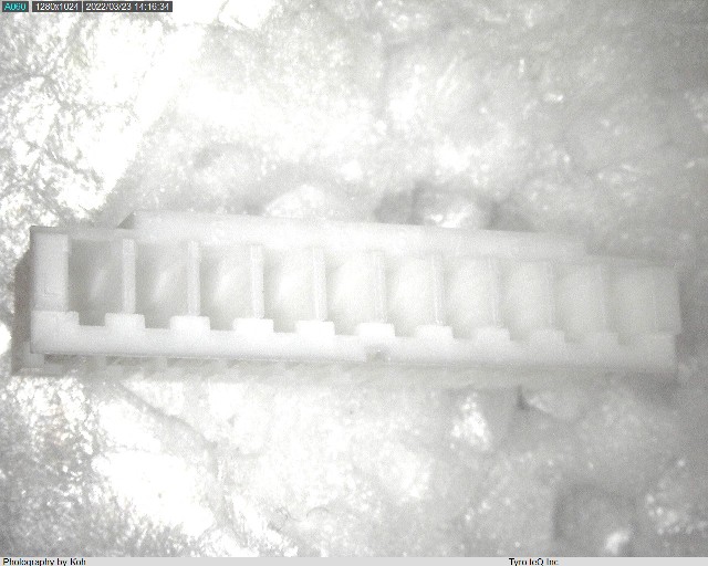 PHR-10
