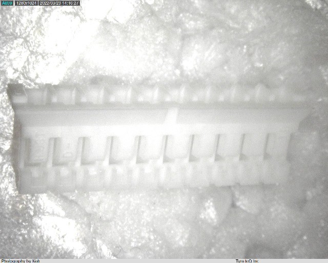 PHR-10