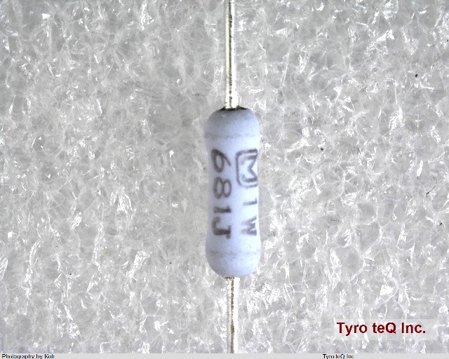 ERG1SJ681
