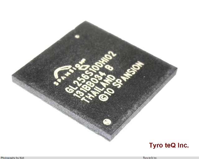 S29GL256S10DHI020