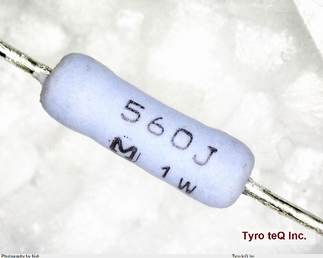 ERG1SJ560