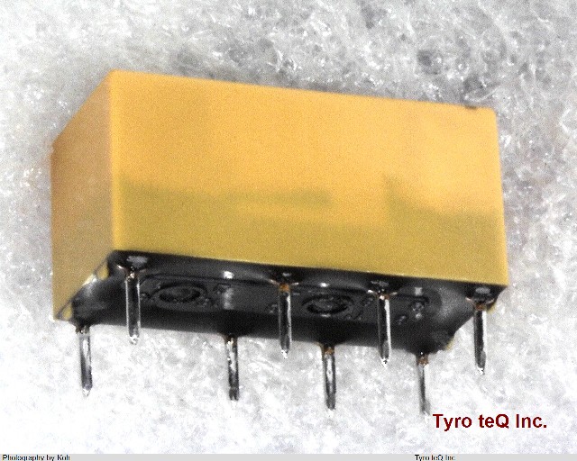 DS2E-M-DC12V