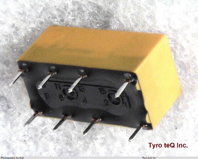 DS2E-M-DC12V