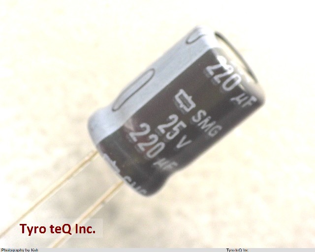 ESMG250ELL221MHB5D