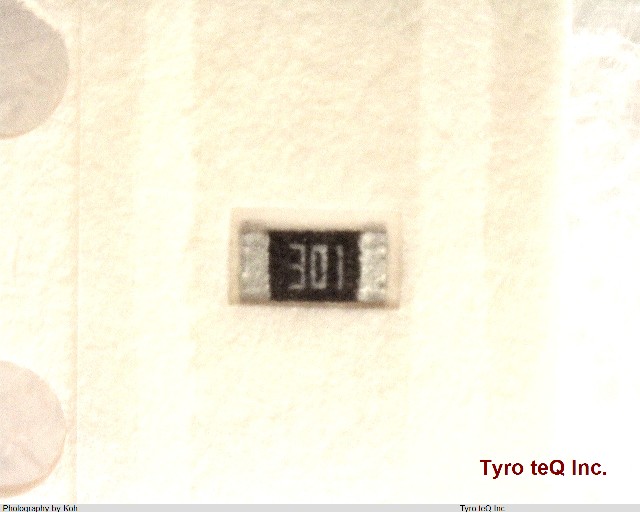 RK73B1JTTD301J