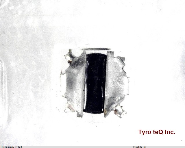 ELL-4LG101MA