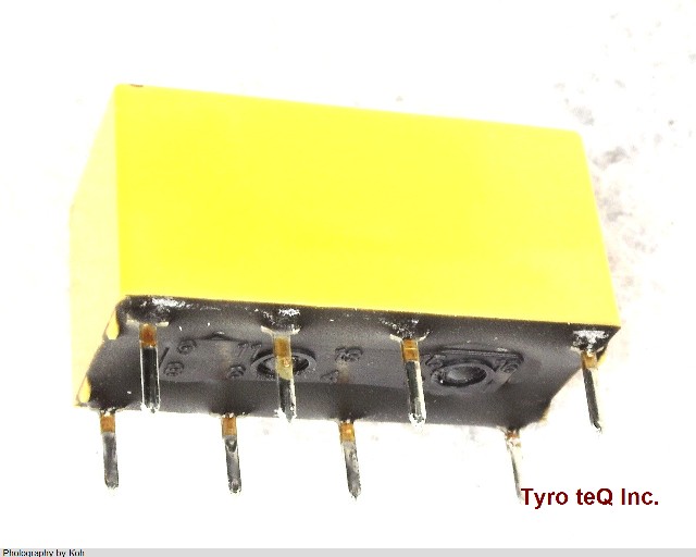 DS2E-M-DC12V