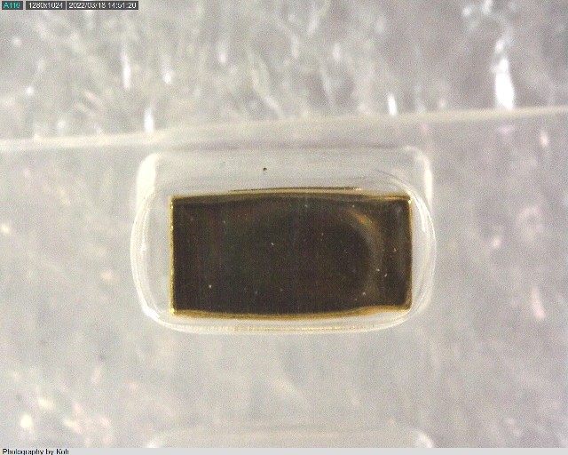 HK-2-G