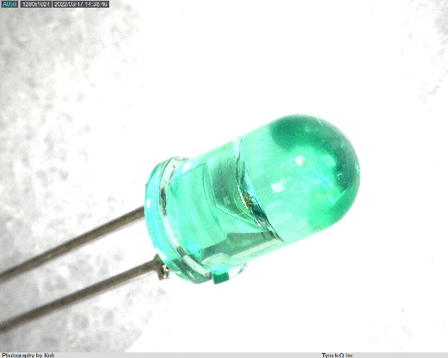 TLG113A