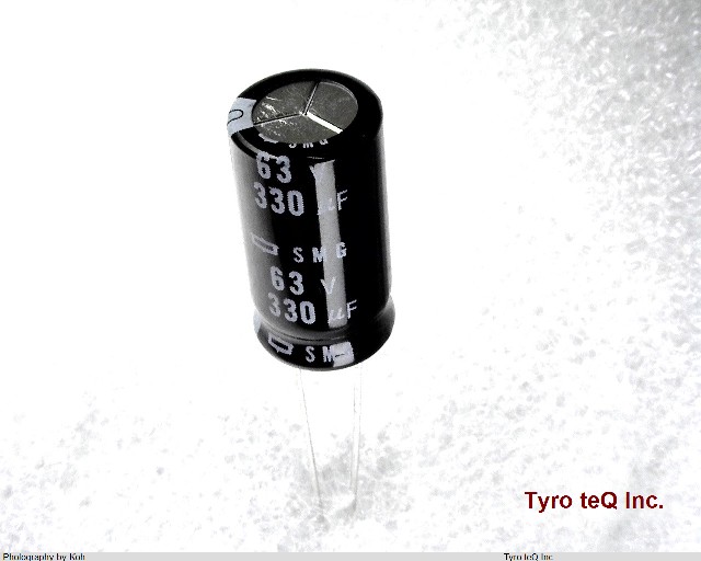 ESMG630ELL331MJ20S