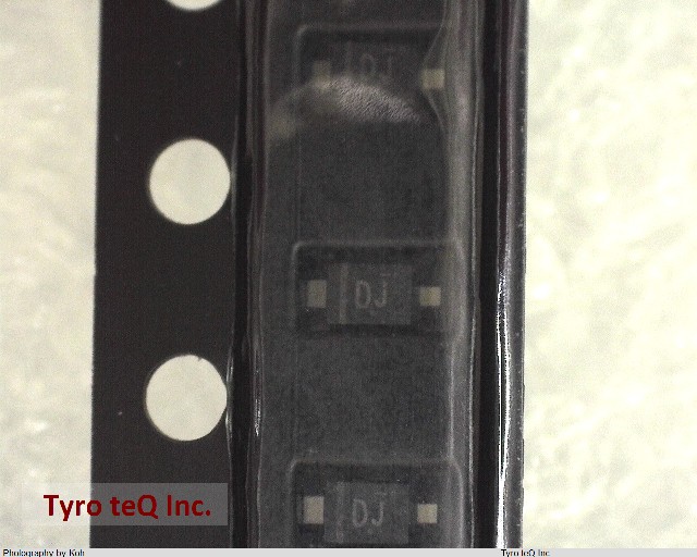 DZ2J05600L