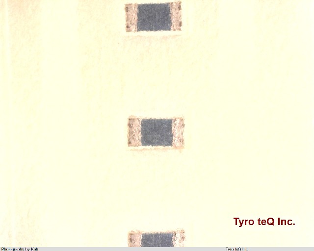 RK73H1ETTP1302F