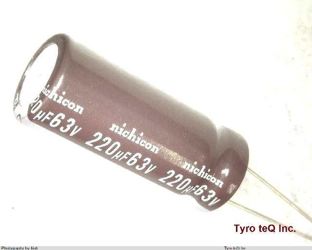 UPW1J221MPD6