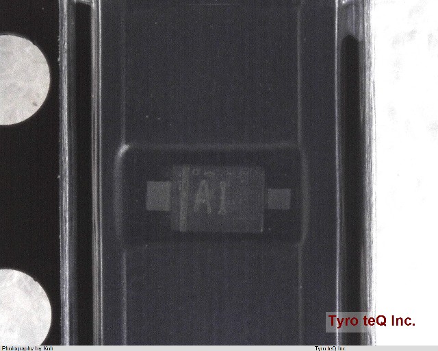 DA2J10100L