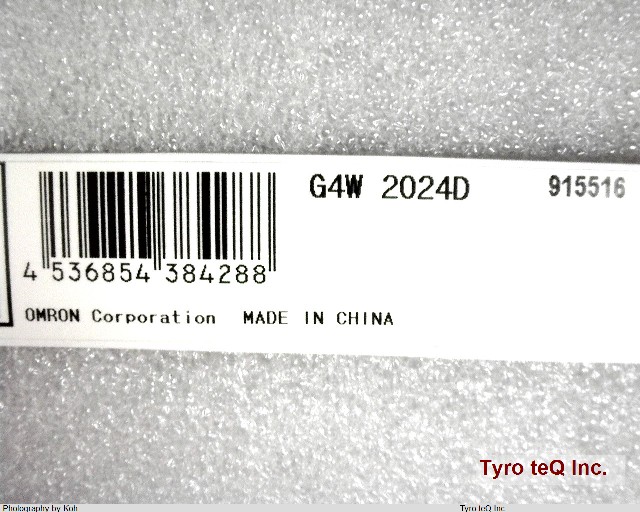 G4W-1112P-US-TV8 DC24