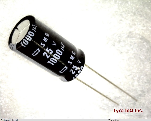 ESMG250ELL102MJ20S