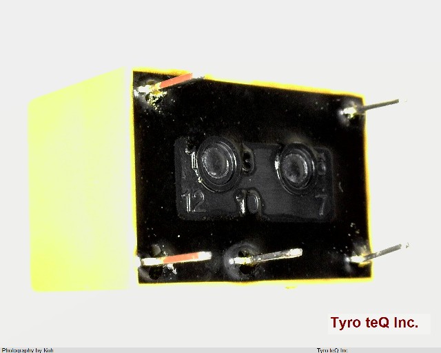 DS1E-S-DC12V