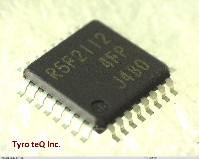 R5F21124FP