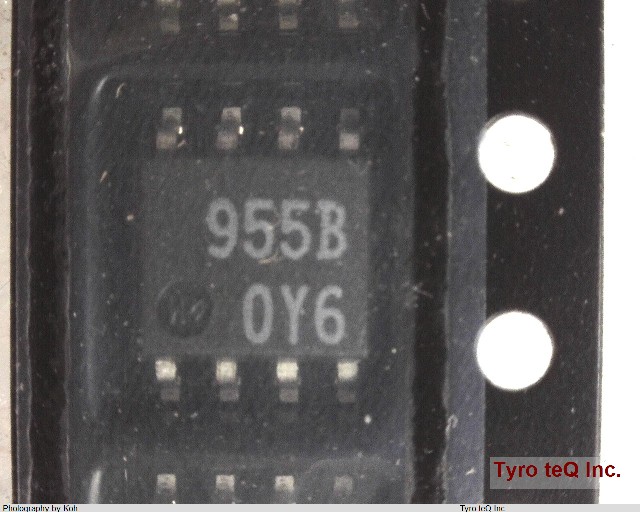 M51955BFP600C