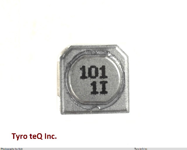 ELL6SH101M