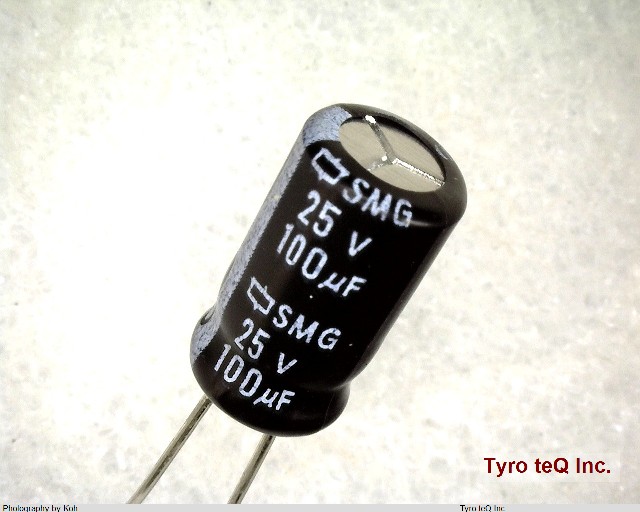 ESMG250ELL101MF11D