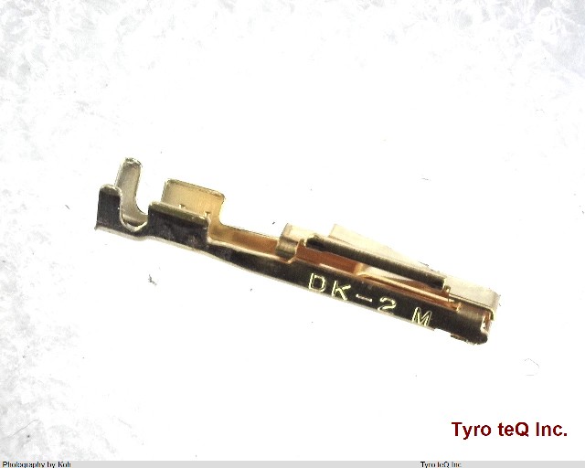 DK-2RECMLP1-100